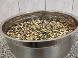 projekt ptaci 19